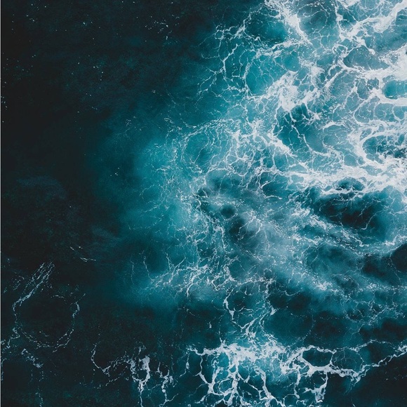 Meet your Posher, Liam - Picture 1 of 1